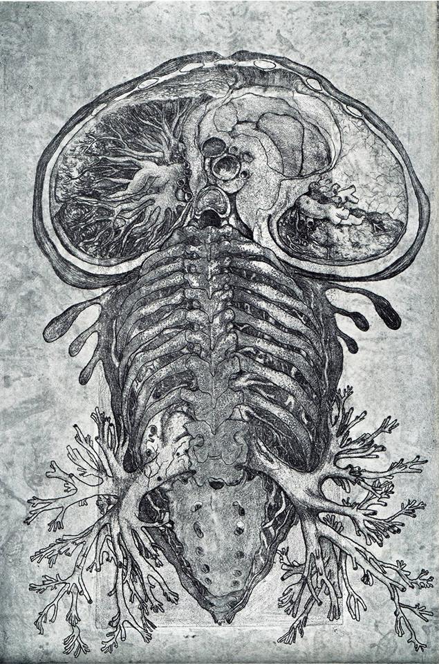 Gravure de Yann Legrand / Titre : Brochiolus dorsalis
