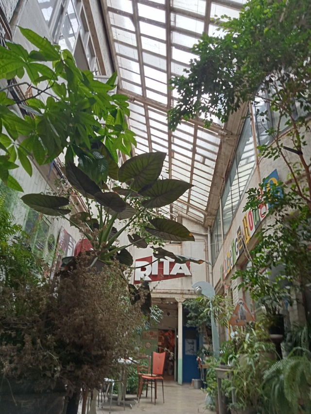 Chez Rita